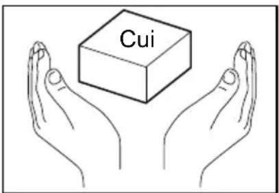 Cui