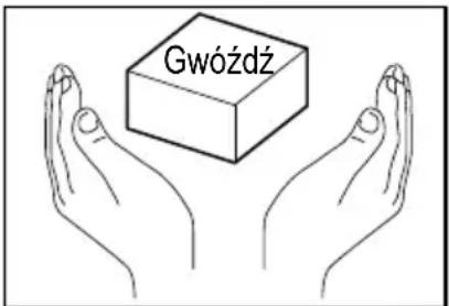 Gwóźdź