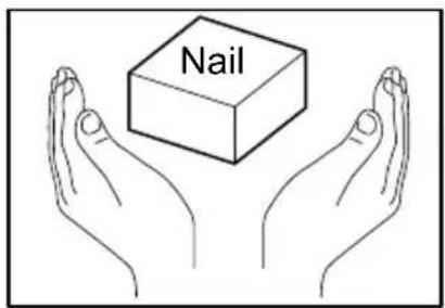 Nail
