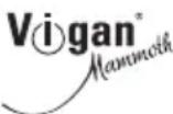 Vigan Mammoth T45L2P - ČISTENIE A ÚDRŽBA - 1