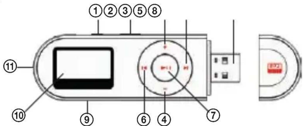 ECG PMP 20 - DESCRIPTION - 1