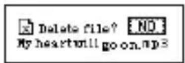 ECG PMP 20 - Delete files - 3