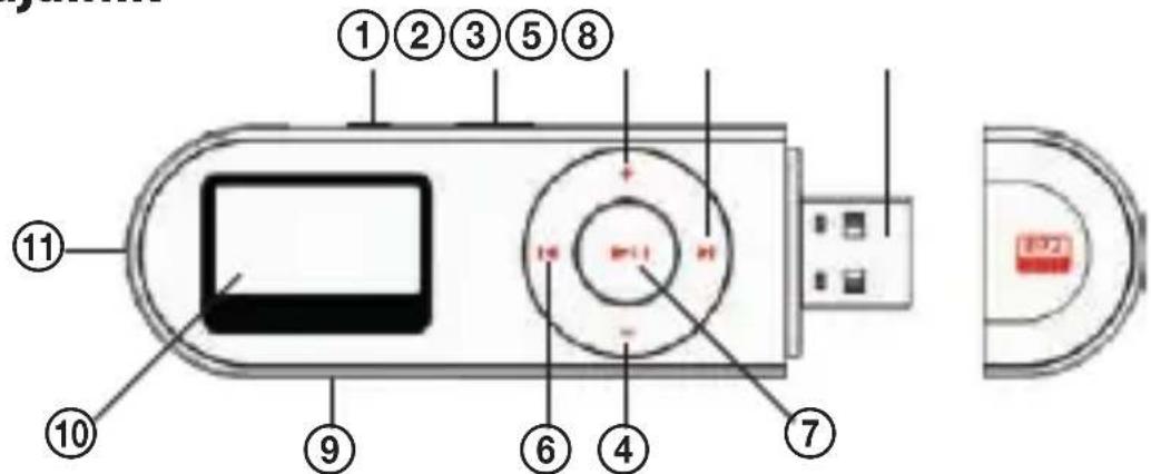 ECG PMP 20 - OPIS APARATA - 1
