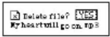 ECG PMP 20 - Delete files - 4