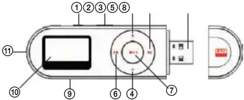 ECG PMP 20 - Přehrávač - 1