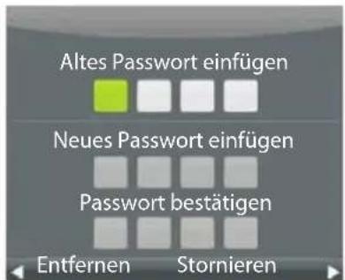 ECG 32 H04T2S2 - Passworteinstellung - 1