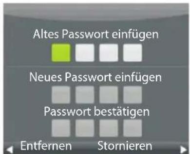 ECG 32 H02T2S2 - Passworteinstellung - 1