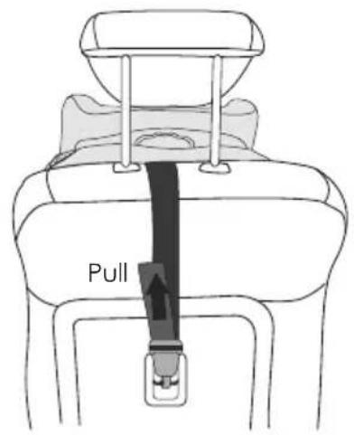 Lorelli Totan - Installation for group I(9-18kg) - 6