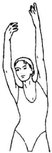 Life Gear Transport 26680 - SIDE STRETCHES - 1