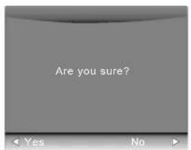 Are you sure?