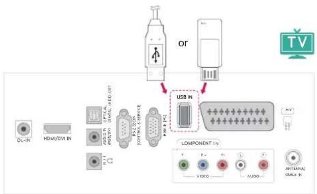 LG M2450D-PC - Connecting USB storage devices - 1