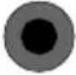 TOSHIBA 28W1763DG - (\*) MY BUTTON 1 & MY BUTTON 2: - 27