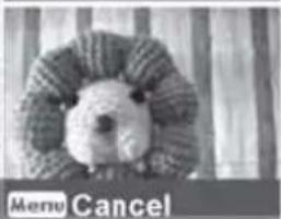 Menu Cancel