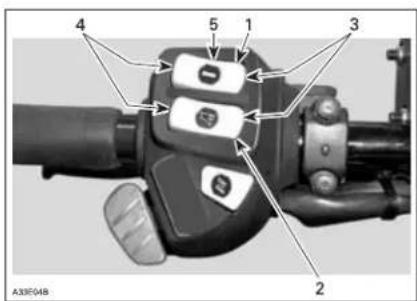 LYNX 5900 (2006) - Heating grip switch - 2