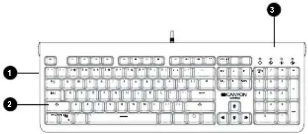 Canyon Interceptor CND-SKB8-US - Áttekintés - 1