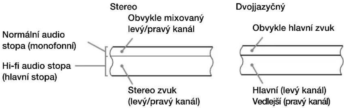 Stereo Obvykle mixovaný levý/pravý kanál Normální audio stopa (monofonní) Hi-fi audio stopa (hlavní stopa) Stereo zvuk (levý/pravý kanál) Dvojjazyčný Obvykle hlavní zvuk Hlavní (levý kanál) Vedlejší (pravý kanál)