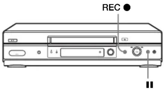 REC ● II