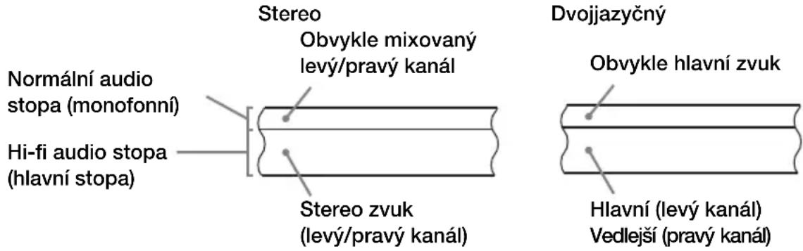 Stereo Obvykle mixovaný levý/pravý kanál Normální audio stopa (monofonní) Hi-fi audio stopa (hlavní stopa) Stereo zvuk (levý/pravý kanál) Dvojjazyčný Obvykle hlavní zvuk Hlavní (levý kanál) Vedlejší (pravý kanál)
