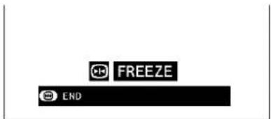 CH FREEZE CH END