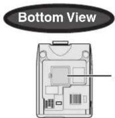 Bottom View