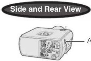 Side and Rear View A