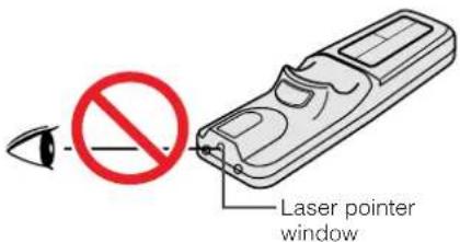Laser pointer window