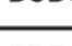 SHARP ES-GFD9144W3 - EXTRA - 10