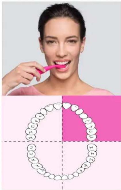 FOREO ISSA 2 - HOW TO USE YOUR ISSA 2 - 2