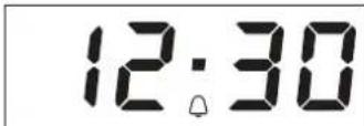 PRIVILEG PHVR6 OH8V2 WS - SETTING THE TIMER - 2