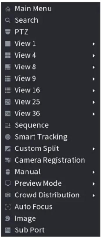Dahua Technology Lite NVR4232-4KS2 - Right-Click Menu - 1