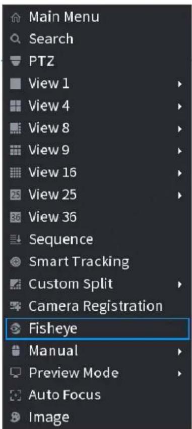 Dahua Technology Lite NVR4232-4KS2 - Fisheye de-warp during preview interface - 2