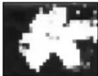 SONY CCD-TR716 - Selecting picture effect - 4