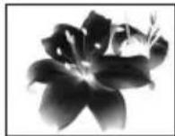 SONY CCD-TR716 - Selecting picture effect - 2
