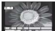 PANASONIC Viera TX-26LE7P - Aspect Ratio - 2