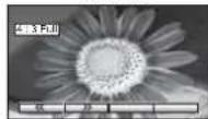 PANASONIC Viera TX-26LE7P - Aspect Ratio - 5