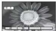 PANASONIC Viera TX-26LE7P - Aspect Ratio - 1