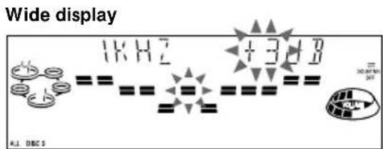 SONY LBT-W300 - Adjusting the graphic equalizer - 4