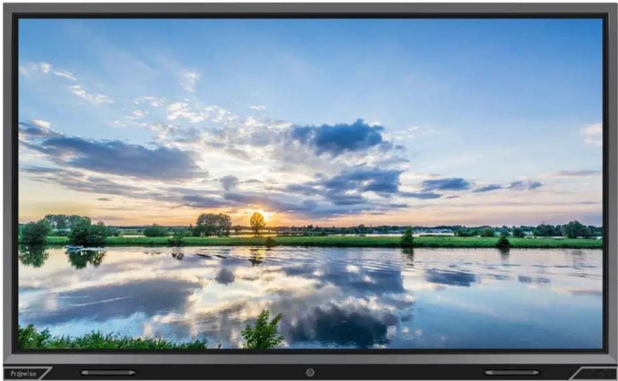 Prowise PW.1.15086.1001 - User manual - Prowse Touchscreen - 1