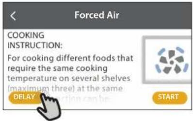 Forced Air COOKING INSTRUCTION: For cooking different foods that require the same cooking temperature on several shelves (maximum three) at the same DELAY START
