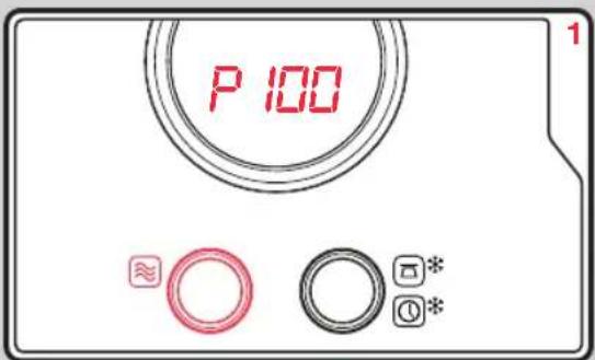 P 100 1
