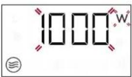 1000 W