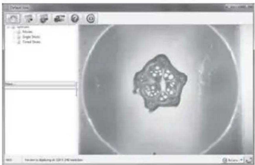 Carson zPix 300 MM-940 - - Zooming - 2