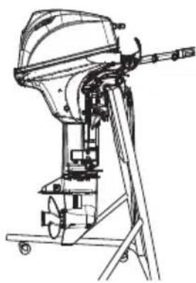 Tohatsu MFS9.9E - Engine - 2