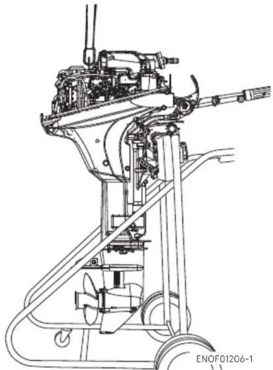 Tohatsu MFS15E - WARNING - 1