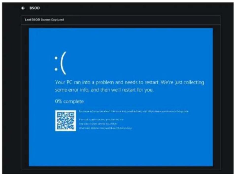 ASUS Pro WS X570-ACE - BSOD Capture (BMC) - 2