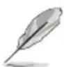 ASUS Pro WS X570-ACE - Software Information - 1