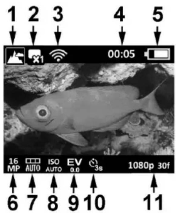 SEALIFE Micro 3.0 - LCD Display - Capture Mode: - 1