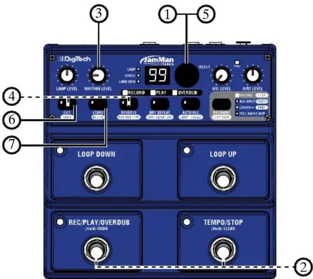DIGITECH JamMan Stereo - Rhythm Type - 1
