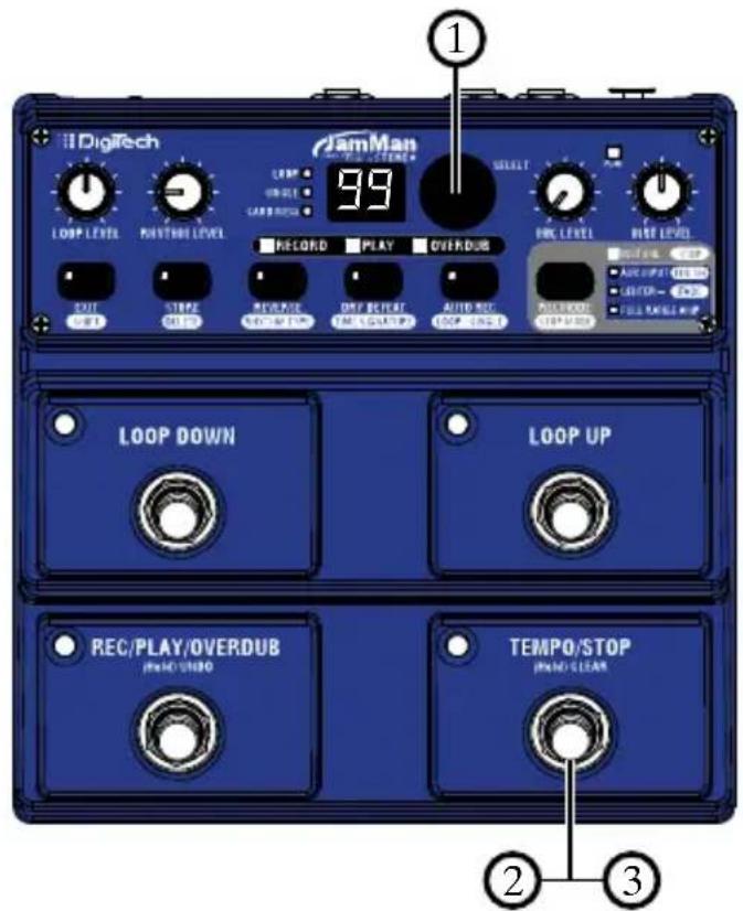 DIGITECH JamMan Stereo - Time Stretching a Loop - 1