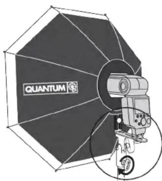 QUANTUM